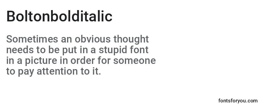 Review of the Boltonbolditalic Font