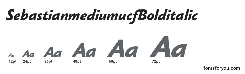 SebastianmediumucfBolditalic Font Sizes