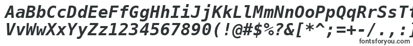 Dejavusansmono Boldoblique Font – Fonts for Xiaomi