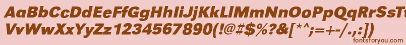 GroteskstdBoldItalic Font – Brown Fonts on Pink Background