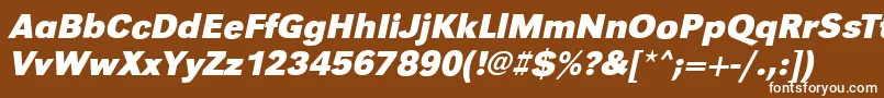 フォントGroteskstdBoldItalic – 茶色の背景に白い文字