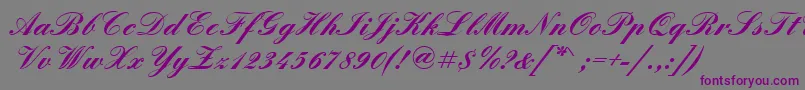 QuadrillescriptsskBold Font – Purple Fonts on Gray Background