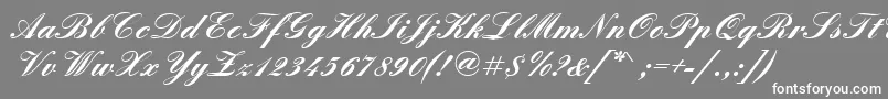 フォントQuadrillescriptsskBold – 灰色の背景に白い文字