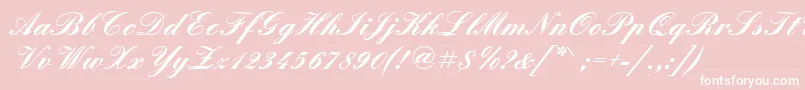 QuadrillescriptsskBold Font – White Fonts on Pink Background