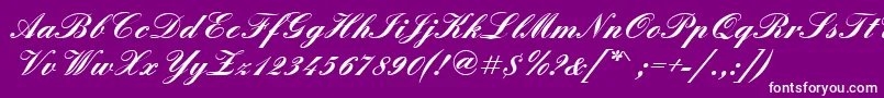 QuadrillescriptsskBold-Schriftart – Weiße Schriften auf violettem Hintergrund