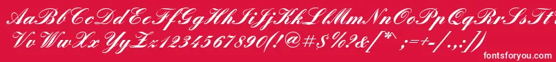 QuadrillescriptsskBold Font – White Fonts on Red Background