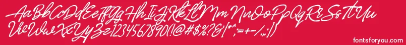 BilleniaStandard Font – White Fonts on Red Background