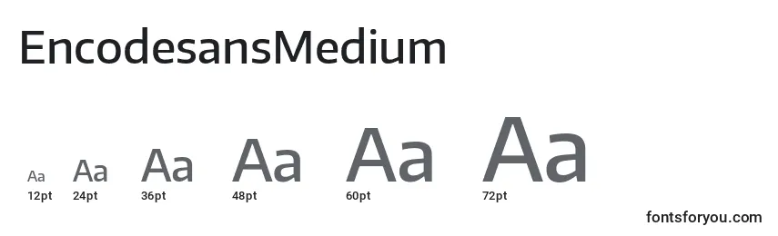 Размеры шрифта EncodesansMedium