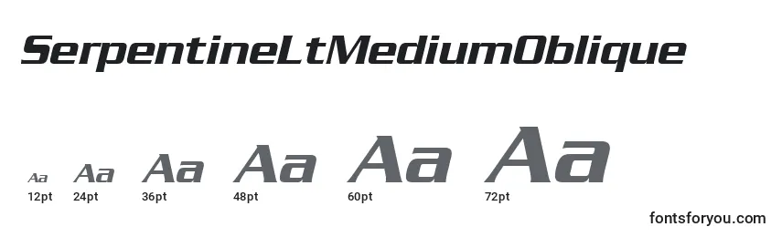 Размеры шрифта SerpentineLtMediumOblique