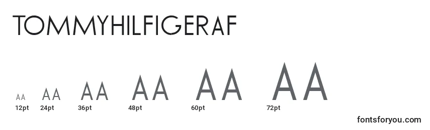 TommyHilfigerAf Font Sizes