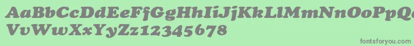 ChaceyextHeavyItalic Font – Gray Fonts on Green Background