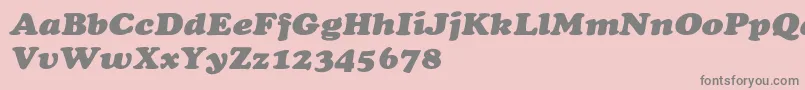 ChaceyextHeavyItalic Font – Gray Fonts on Pink Background