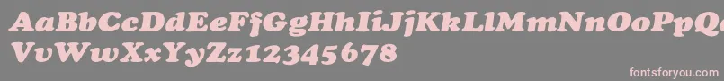 ChaceyextHeavyItalic Font – Pink Fonts on Gray Background