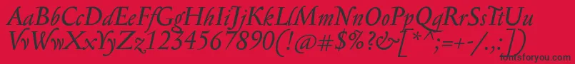 SerapioniitxnItalic Font – Black Fonts on Red Background