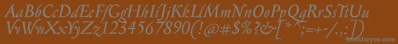 フォントSerapioniitxnItalic – 茶色の背景に灰色の文字