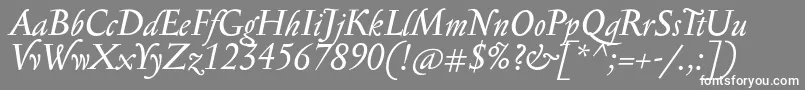 SerapioniitxnItalic Font – White Fonts on Gray Background