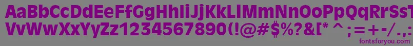 Inc901k Font – Purple Fonts on Gray Background