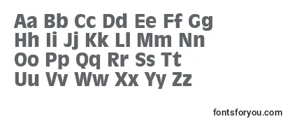 Review of the Inc901k Font
