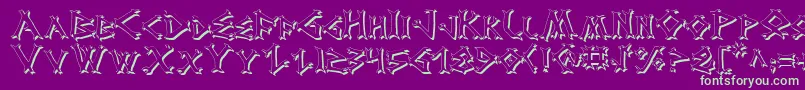 DragonOrderShadow Font – Green Fonts on Purple Background