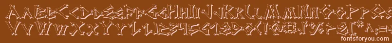 DragonOrderShadow Font – Pink Fonts on Brown Background