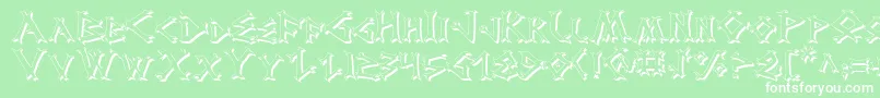 DragonOrderShadow Font – White Fonts on Green Background