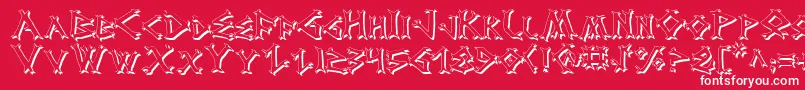 DragonOrderShadow Font – White Fonts on Red Background