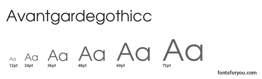 Avantgardegothicc Font Sizes