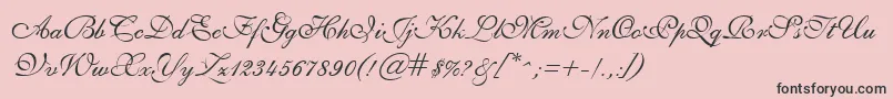 GeSheerScript Font – Black Fonts on Pink Background