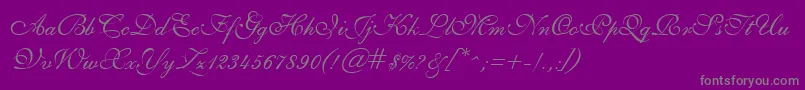GeSheerScript Font – Gray Fonts on Purple Background