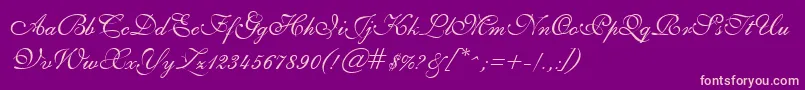 GeSheerScript-Schriftart – Rosa Schriften auf violettem Hintergrund