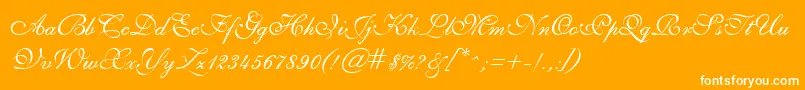 GeSheerScript Font – White Fonts on Orange Background