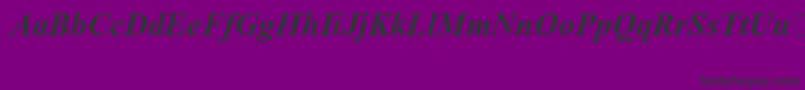 フォントTimesNewRomanSpecialG1BoldItalic – 紫の背景に黒い文字
