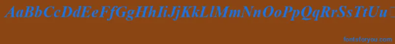 TimesNewRomanSpecialG1BoldItalic Font – Blue Fonts on Brown Background