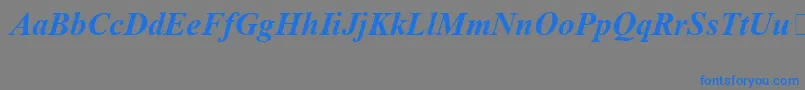 TimesNewRomanSpecialG1BoldItalic Font – Blue Fonts on Gray Background
