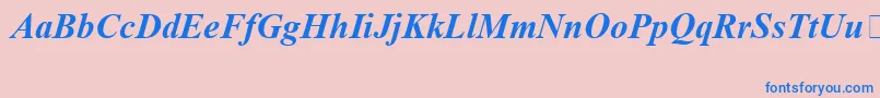 TimesNewRomanSpecialG1BoldItalic Font – Blue Fonts on Pink Background