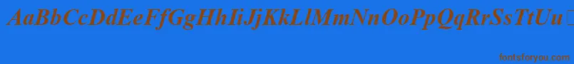 TimesNewRomanSpecialG1BoldItalic Font – Brown Fonts on Blue Background