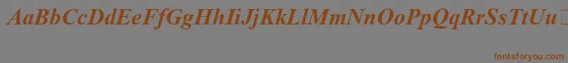 TimesNewRomanSpecialG1BoldItalic Font – Brown Fonts on Gray Background