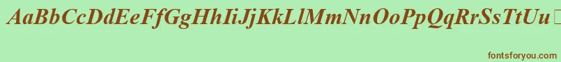 TimesNewRomanSpecialG1BoldItalic Font – Brown Fonts on Green Background