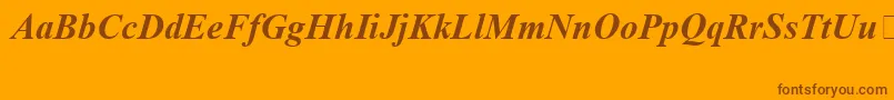 TimesNewRomanSpecialG1BoldItalic Font – Brown Fonts on Orange Background