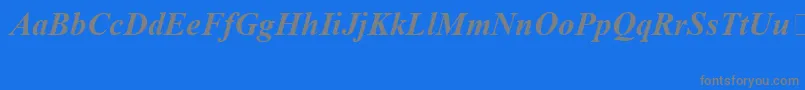 TimesNewRomanSpecialG1BoldItalicフォントについての詳細 フォントTimesNewRomanSpecialG1BoldItalic – 青い背景に灰色の文字