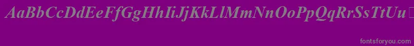 TimesNewRomanSpecialG1BoldItalic Font – Gray Fonts on Purple Background