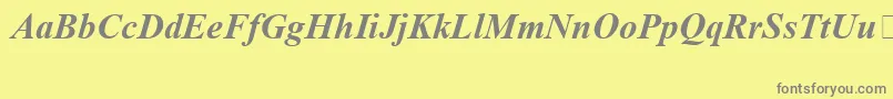 TimesNewRomanSpecialG1BoldItalic Font – Gray Fonts on Yellow Background