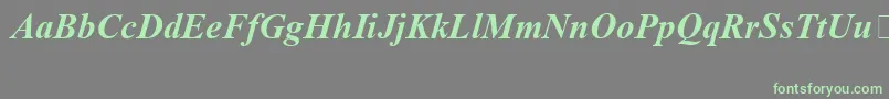 TimesNewRomanSpecialG1BoldItalic Font – Green Fonts on Gray Background