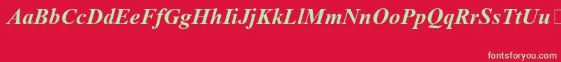 TimesNewRomanSpecialG1BoldItalic Font – Green Fonts on Red Background