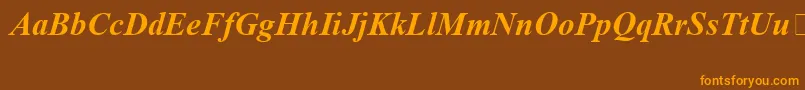 TimesNewRomanSpecialG1BoldItalic Font – Orange Fonts on Brown Background