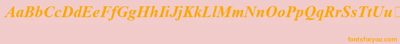 TimesNewRomanSpecialG1BoldItalic Font – Orange Fonts on Pink Background