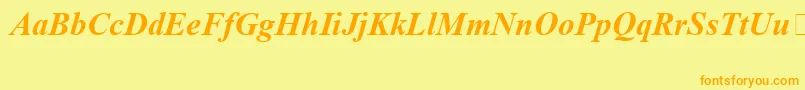 TimesNewRomanSpecialG1BoldItalic Font – Orange Fonts on Yellow Background