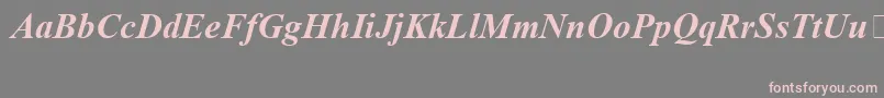 TimesNewRomanSpecialG1BoldItalic Font – Pink Fonts on Gray Background