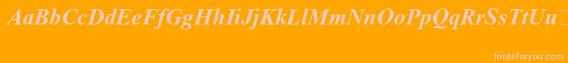 TimesNewRomanSpecialG1BoldItalic Font – Pink Fonts on Orange Background