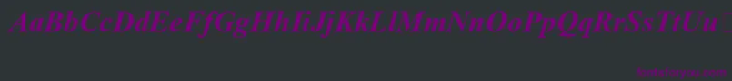 TimesNewRomanSpecialG1BoldItalic Font – Purple Fonts on Black Background